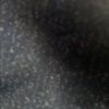bigcat7829